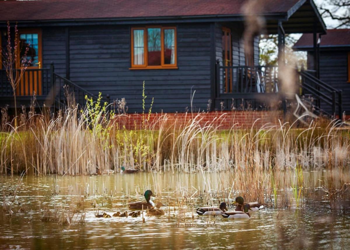 High Lodge Darsham Bagian luar foto